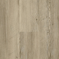 Nordik Çam 049