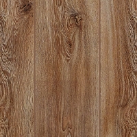 Wadi Rum Meşe 928