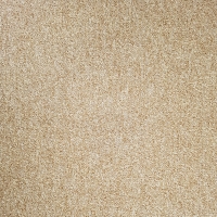Joyce-3468
