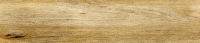 Canadian Cedar - 4042442