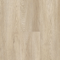 Ardeche Meşe 088