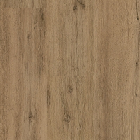 Sassicaia Meşe 128