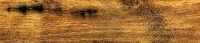 Knotted Pine - 5062714