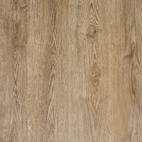 Fosil Meşe 751