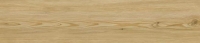 White Pine - 53913