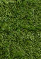 Naturel Yeşil