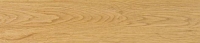 Oak - 5062814