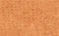 0449epice
