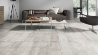 46037_findus_grey_mF_1S_W104