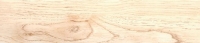 White Oak - 404242