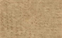 0453chamois