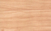 MAPLE10-300