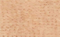 0454gazelle