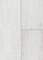 43784_arizona_weiss_mF_1S_6in_DET