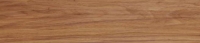 Pecan Honey - 60912