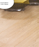 Villa Meşe