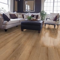 31877_taiga_oak_gelblich_mF_1S_6in_A01