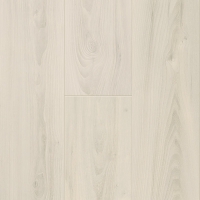 Beyaz Magnolia 039
